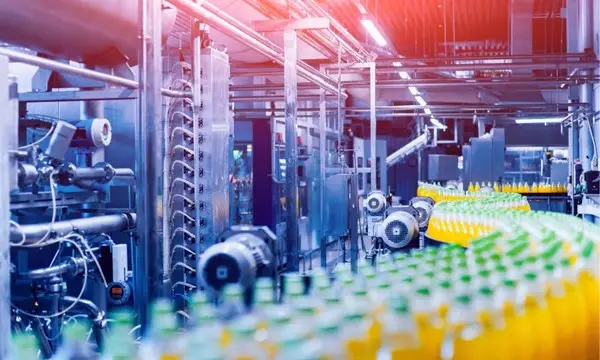 Consumer Goods Manufacturing