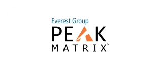Everest Group
