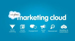 Why has the Salesforce Marketing Cloud assumed significance among businesses?