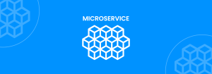 What is micro-services in mobile app development ?